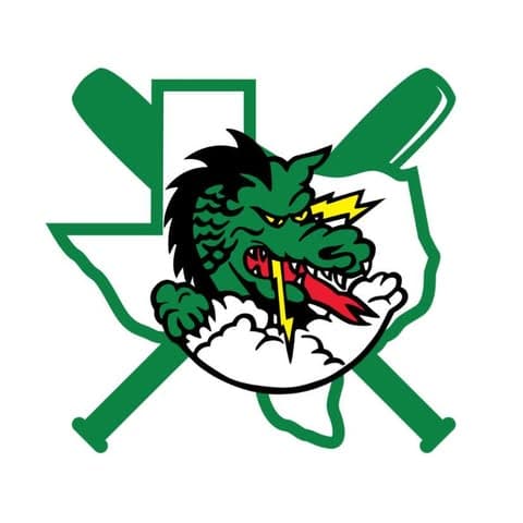 Dragon Youth Baseball logo