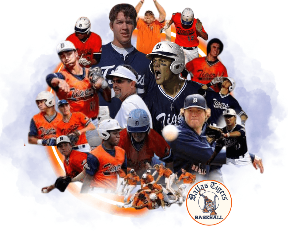 Dallas Tigers 10U Northeast logo